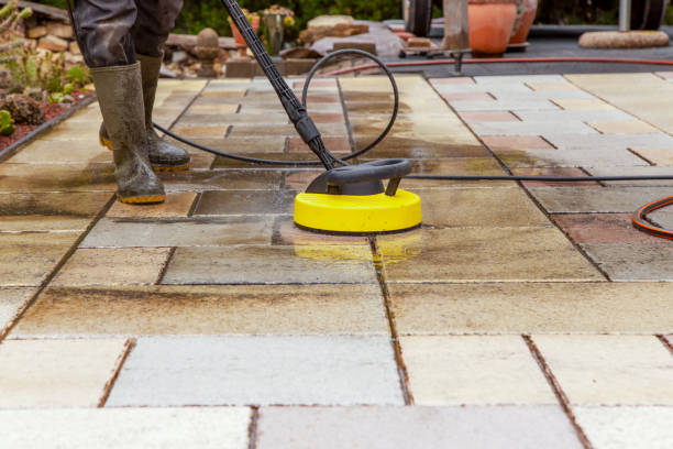 Best Animal Enclosure Cleaning  in Central Falls, RI