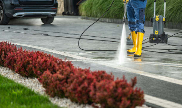 Best Dumpster Area Cleaning  in Central Falls, RI
